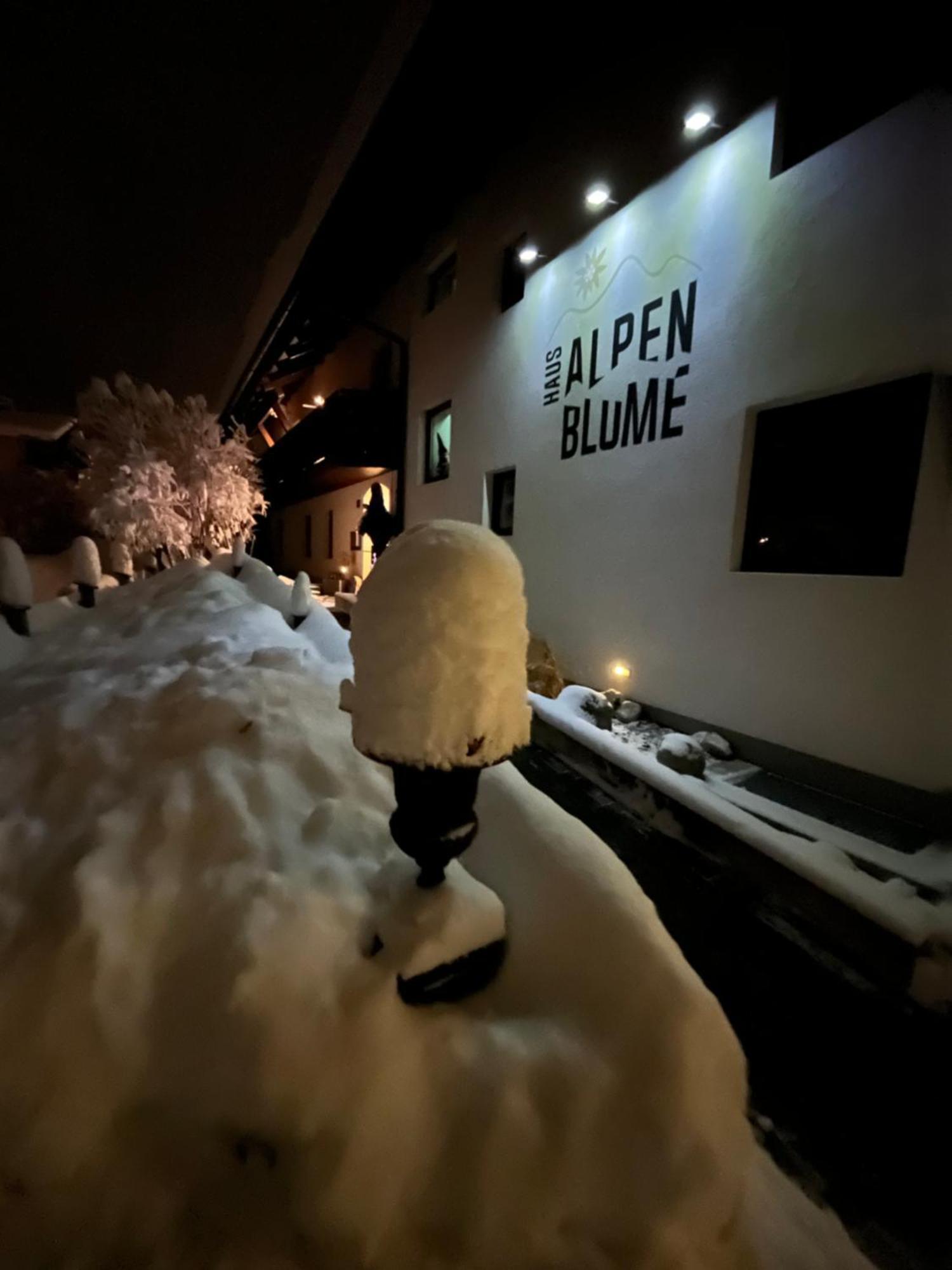 Апартаменты Haus Alpenblume Эрвальд Экстерьер фото